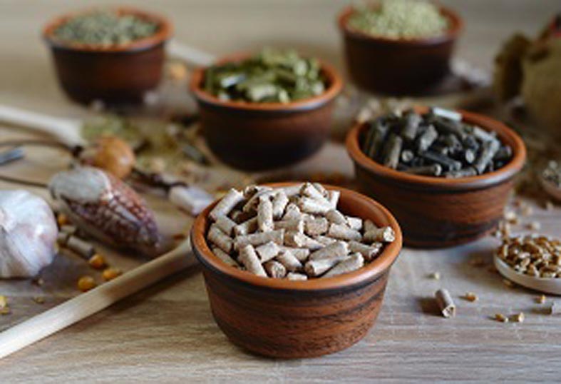 sustainable-animal-nutrition